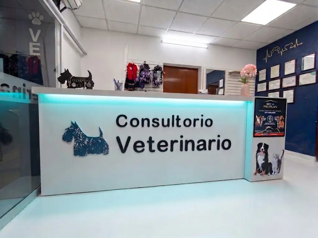 Consultorio de la veterinaria Consentido