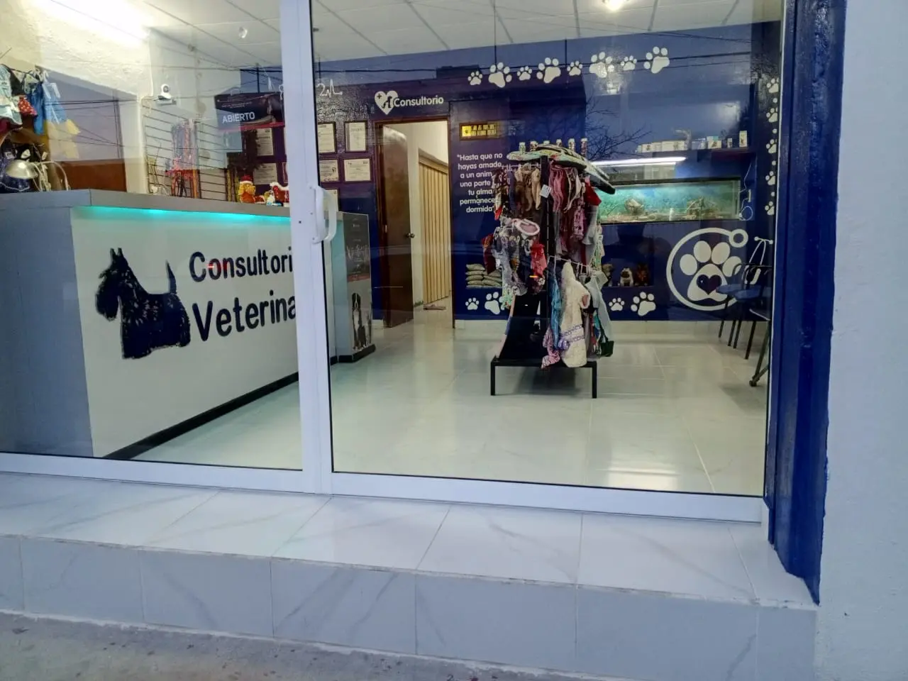 Atención quirúrgica veterinaria