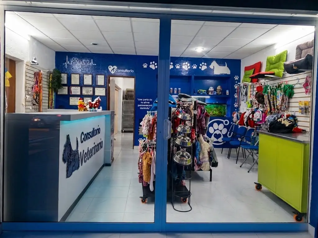 Atención quirúrgica veterinaria
