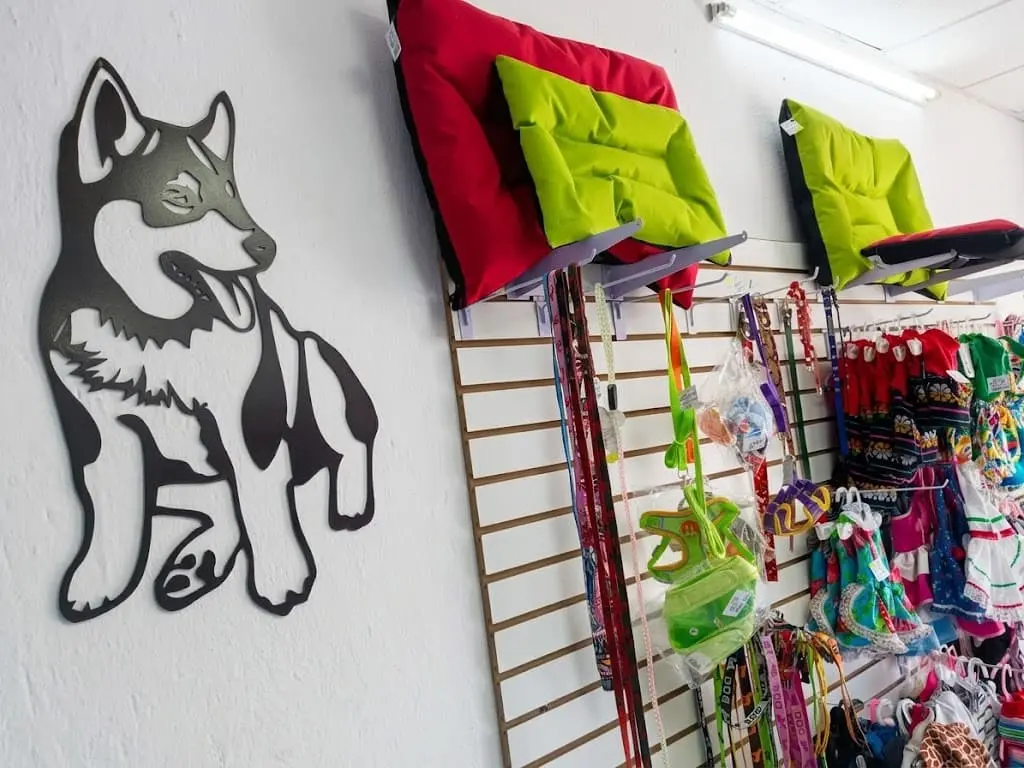 Atención quirúrgica veterinaria