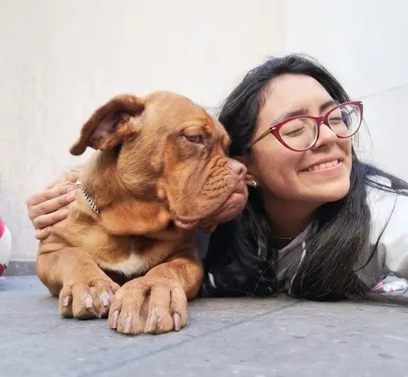 Mascota siendo cuidada en clínica veterinaria Consentido con atención personalizada