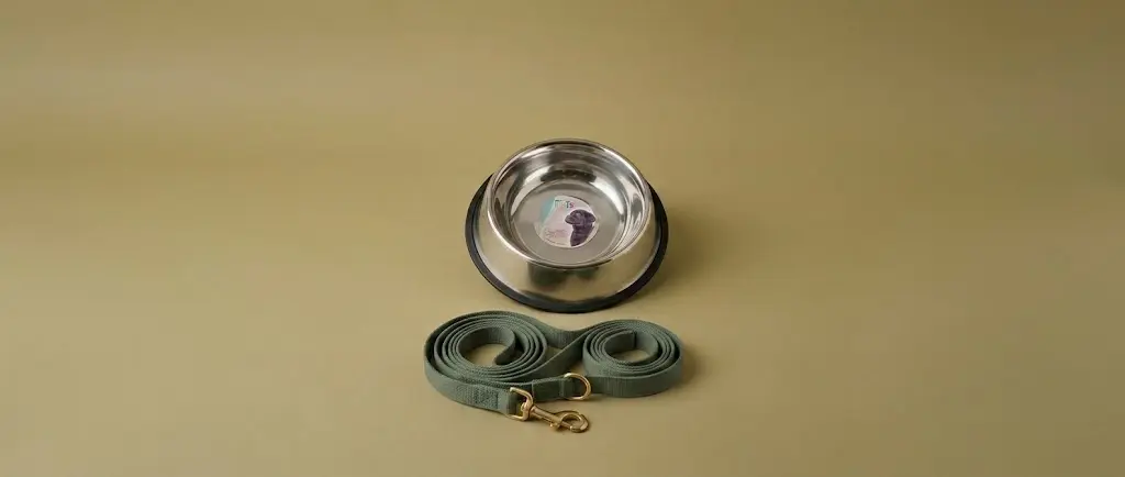 Accesorios productos bienestar transporte mascotas
