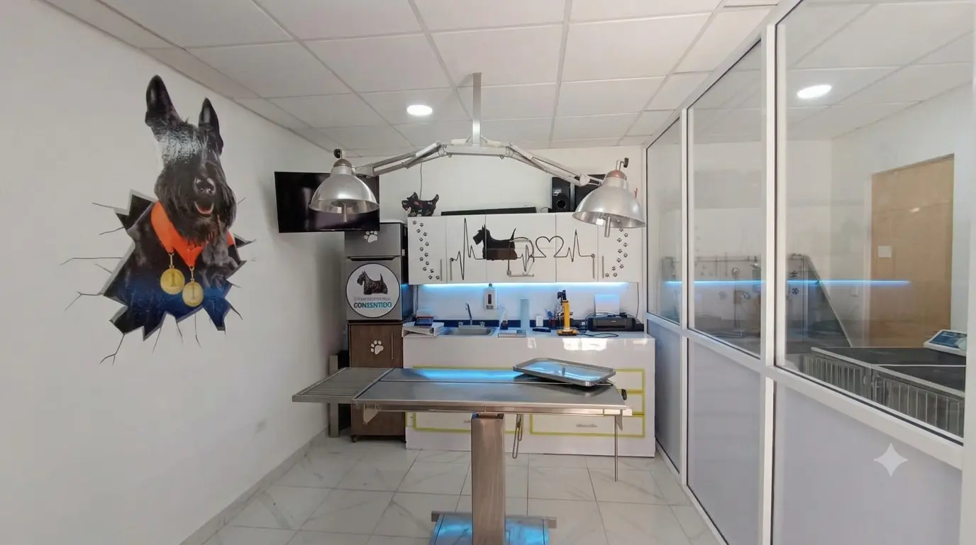 Médico veterinario brindando atención personalizada a mascota