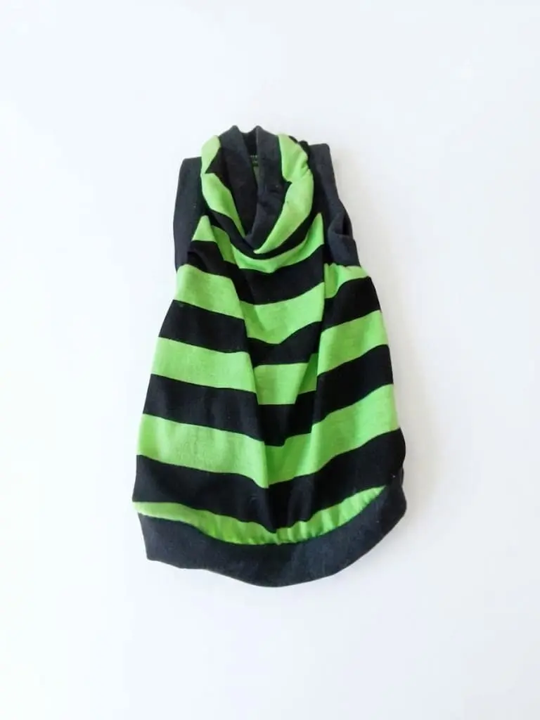 Ropa moderna y estilosa para mascotas contemporáneas